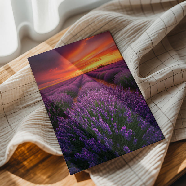 Sunset Lavender Fields