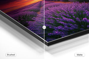 Sunset Lavender Fields