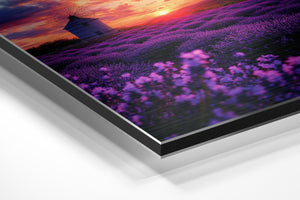 Windmill Lavender Sunset