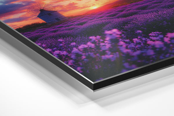 Windmill Lavender Sunset