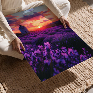 Windmill Lavender Sunset