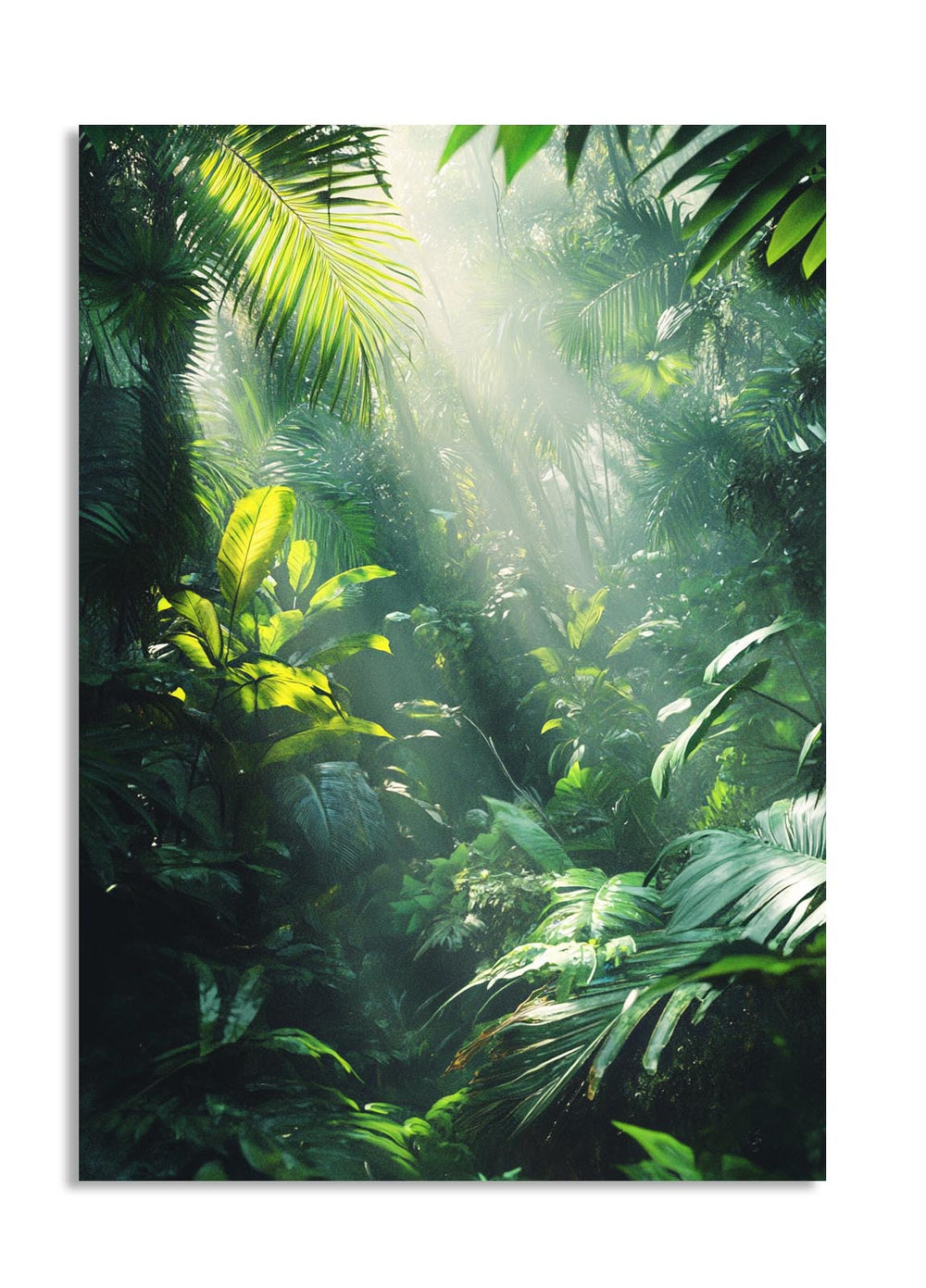 Tropical forest with sunlight filtering through the leaves, as a premium aluminum metal print from GoMetalPrint.
