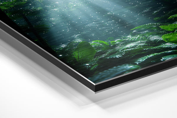 Sparkling Forest Glade