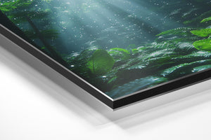 Sparkling Forest Glade