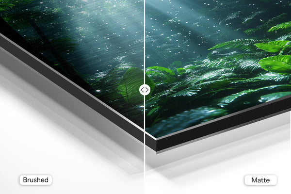 Sparkling Forest Glade