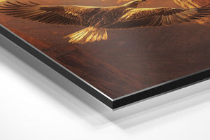 Golden Eagle in Flight