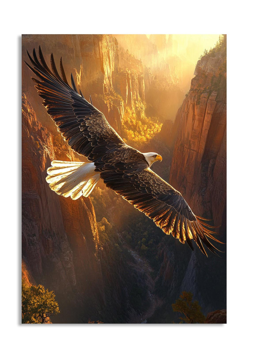 Eagle flying over a canyon with a sunset background, as a premium aluminum metal print from GoMetalPrint.
