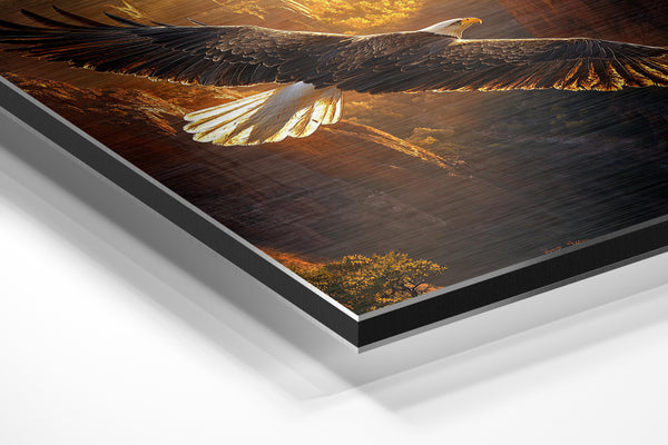 Bald Eagle Canyon Flight