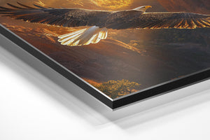 Bald Eagle Canyon Flight