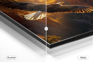 Bald Eagle Canyon Flight