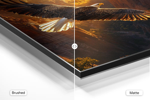 Bald Eagle Canyon Flight