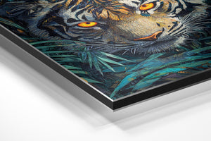 Tiger in Jungle Foliage