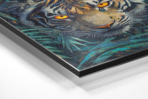 Tiger in Jungle Foliage