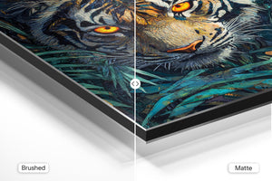 Tiger in Jungle Foliage