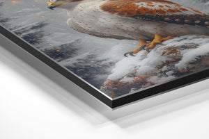 Snow Hawk in Wilderness