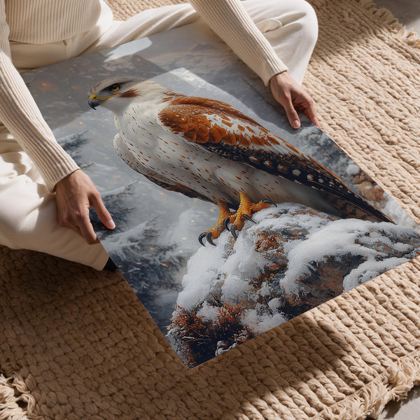 Snow Hawk in Wilderness