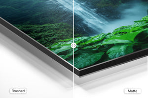 Mystic Forest Waterfall