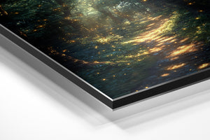 Enchanted Forest Glow