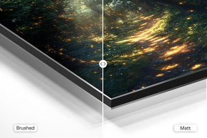 Enchanted Forest Glow