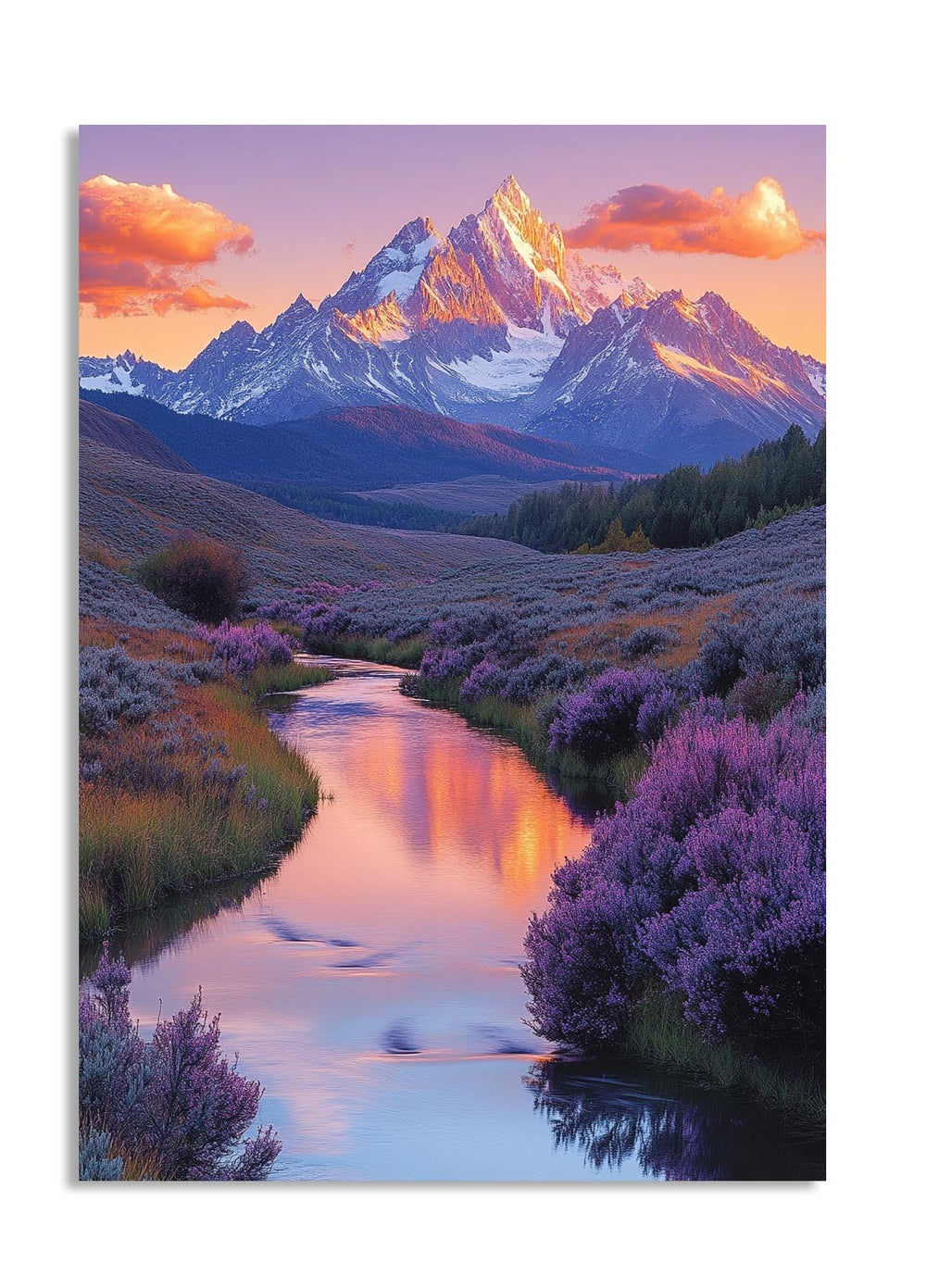 Mountain landscape with a stream and purple bushes at sunset, as a premium aluminum metal print from GoMetalPrint.
