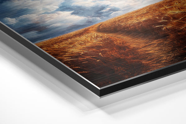 Golden Wheat Horizon