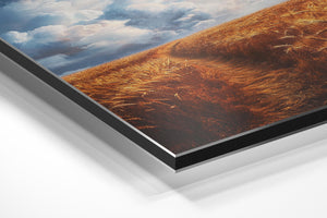 Golden Wheat Horizon