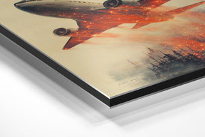 Airplane Fire Forest