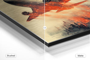 Airplane Fire Forest