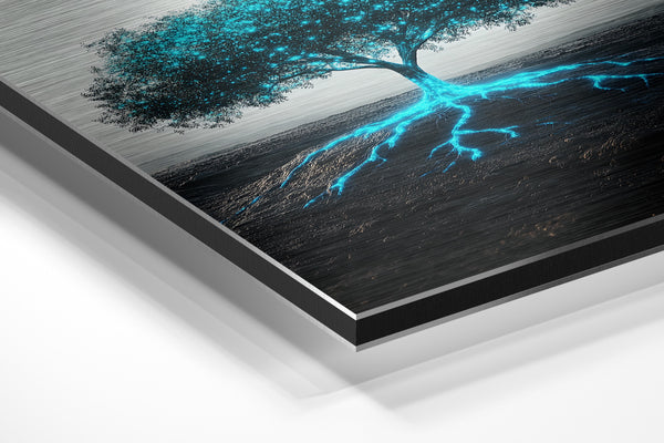 Illuminated Tree Roots