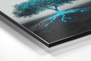 Illuminated Tree Roots