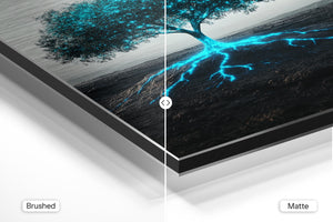 Illuminated Tree Roots