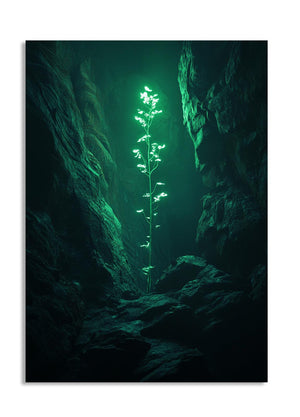 Luminous plant in a dark, rocky cave, as a premium aluminum metal print from GoMetalPrint.
