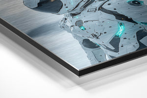 Arctic Explorer Armor