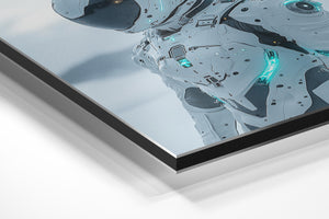 Arctic Explorer Armor